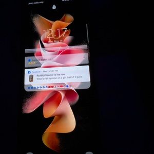 SamSung Z Flip Phone